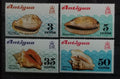 Antigua 1973 Mušle a škeble