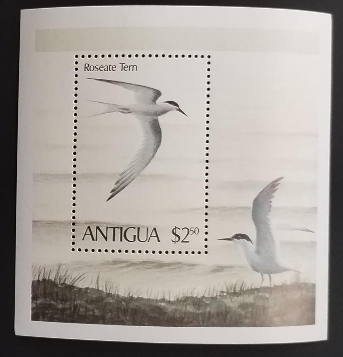 Antigua & Barbuda 1980 Ostrovní ptáci