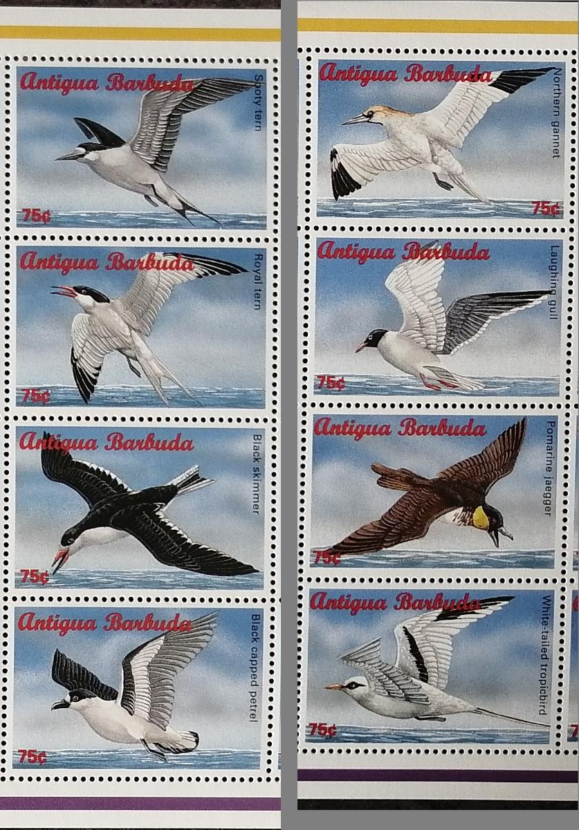Antigua & Barbuda 1996 6,5€ Mořští ptáci ostrovů, (2x čtyřproužek)