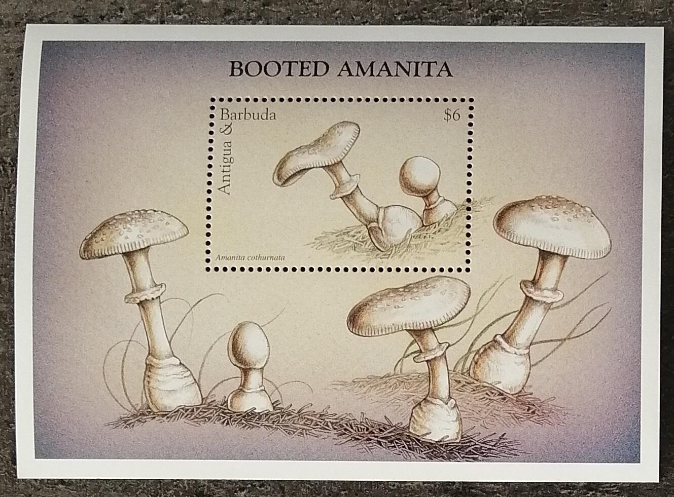 Antigua & Barbuda 1997 Bl.373 5,5€ Houby a flora, Amanita cothurnata
