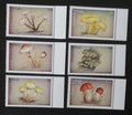 Antigua & Barbuda 1997 Mi.2551-6 5€ Houby Karibiku, mykologie, flora