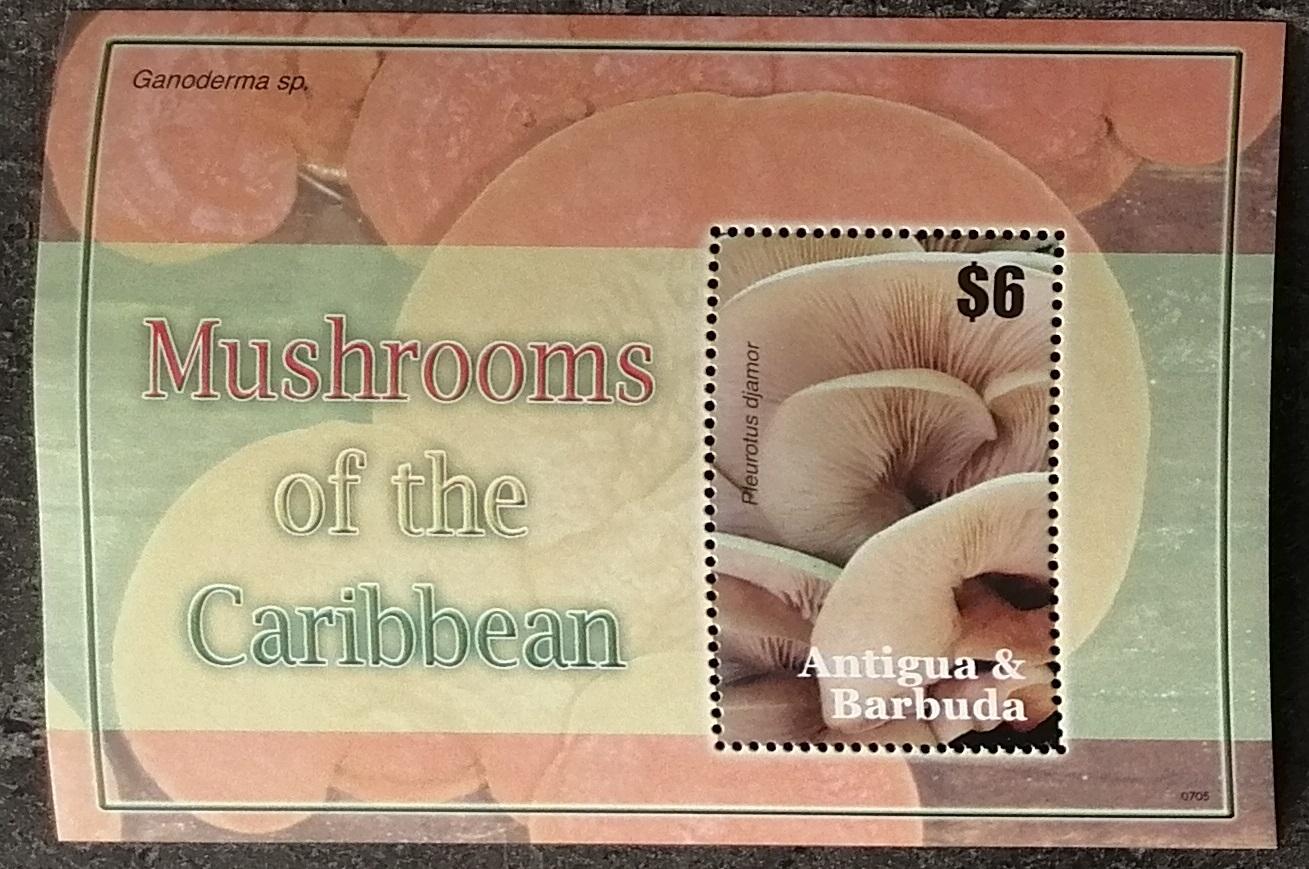 Antigua & Barbuda 2007 Bl.645 5€ Houby a flora, Pleorotus djamor