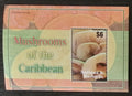 Antigua & Barbuda 2007 Bl.645 5€ Jedlé houby ostrova, Pleurotus djamor