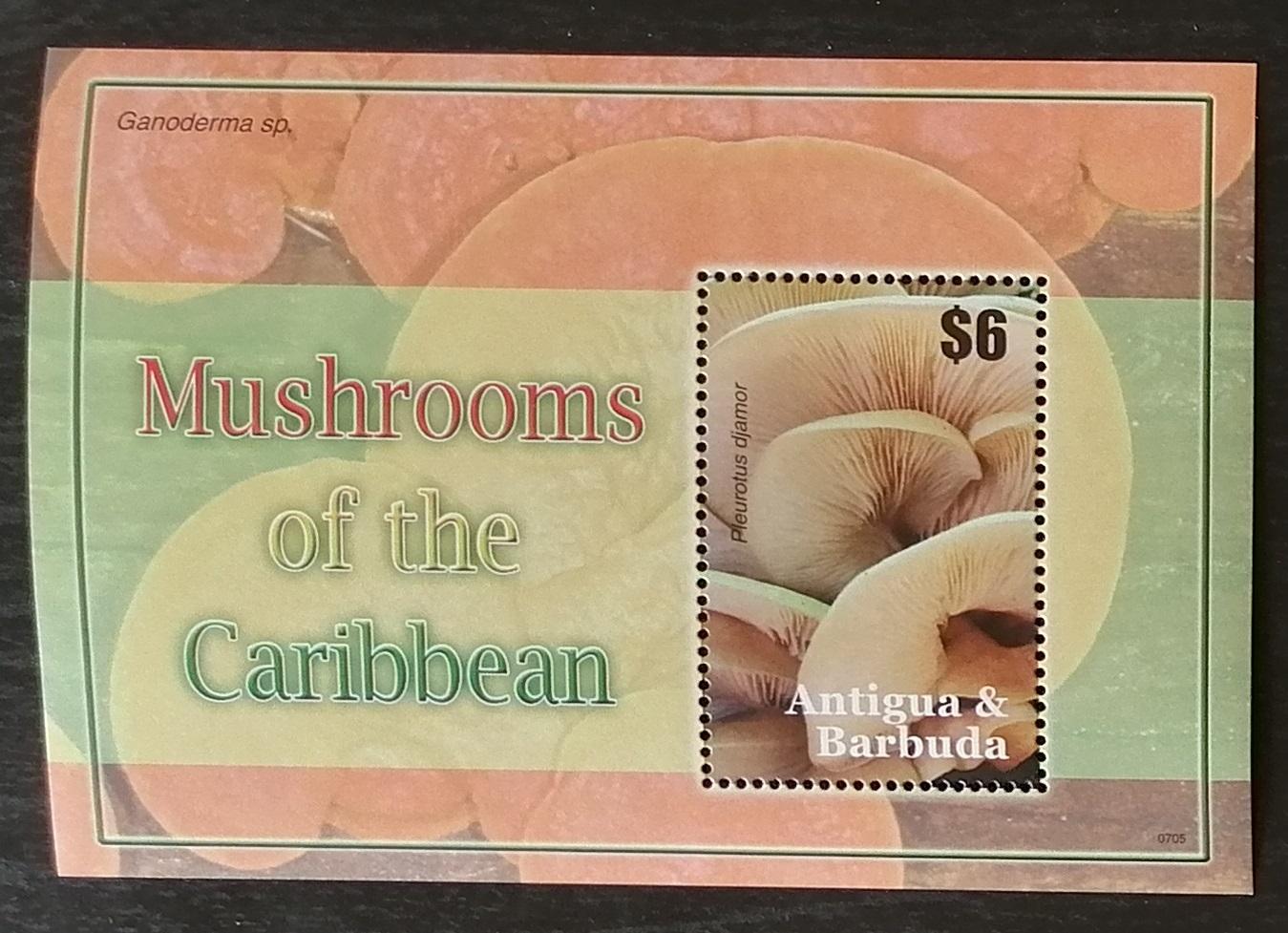 Antigua & Barbuda 2007 Bl.645 5€ Jedlé houby ostrova, Pleurotus djamor