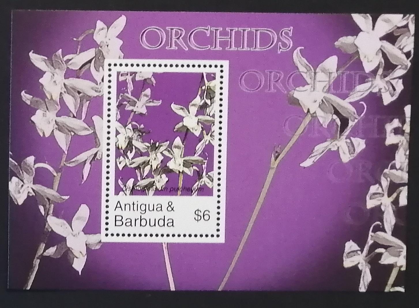 Antigua & Barbuda 2007 Bl.646 5€ Orchideje a flora Karibiku