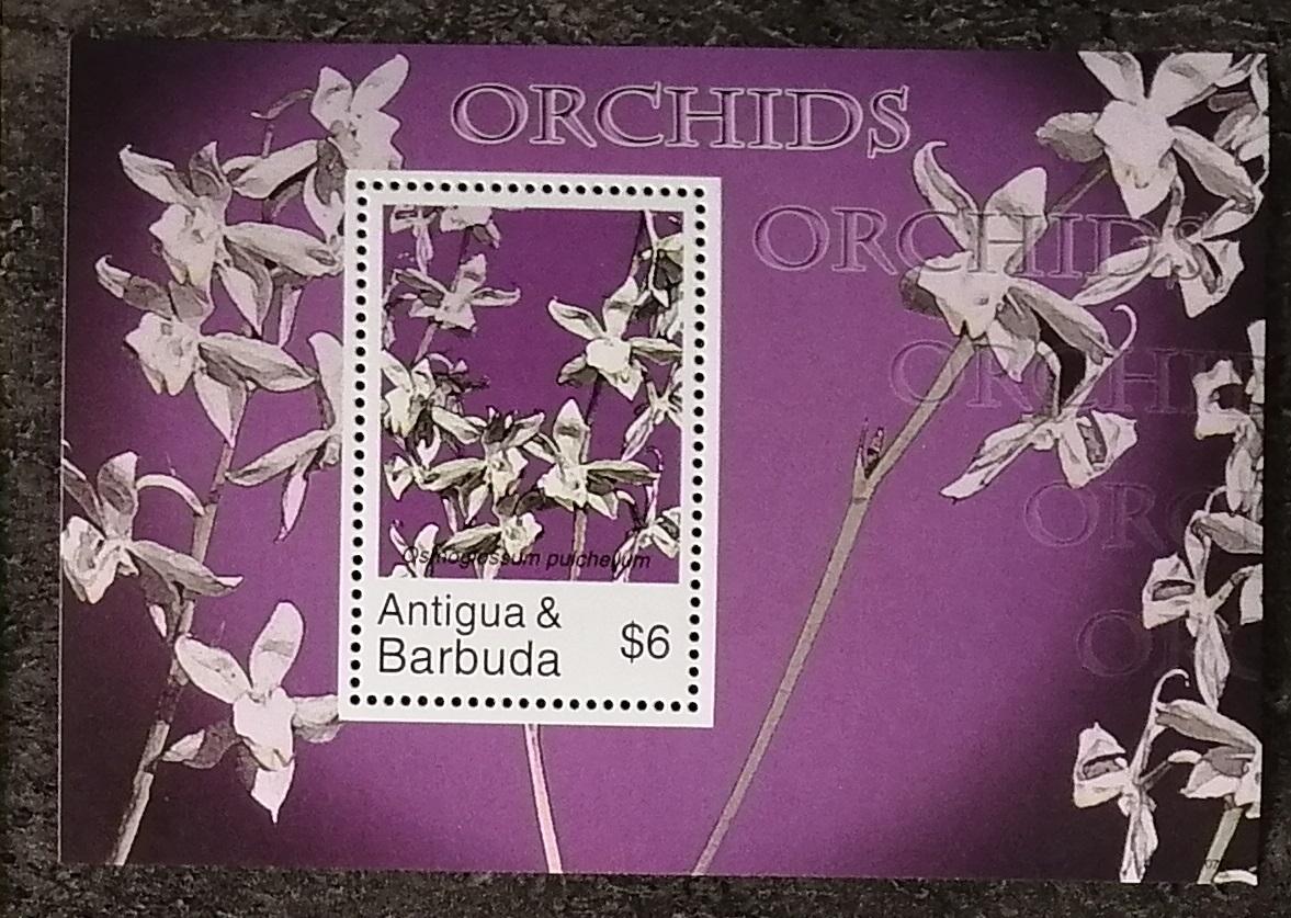 Antigua & Barbuda 2007 Bl.646 5€ Orchideje Karibiku, Osmoglossum