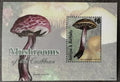 Antigua & Barbuda 2011 5€ Karibské houby, Austroboletus festivus