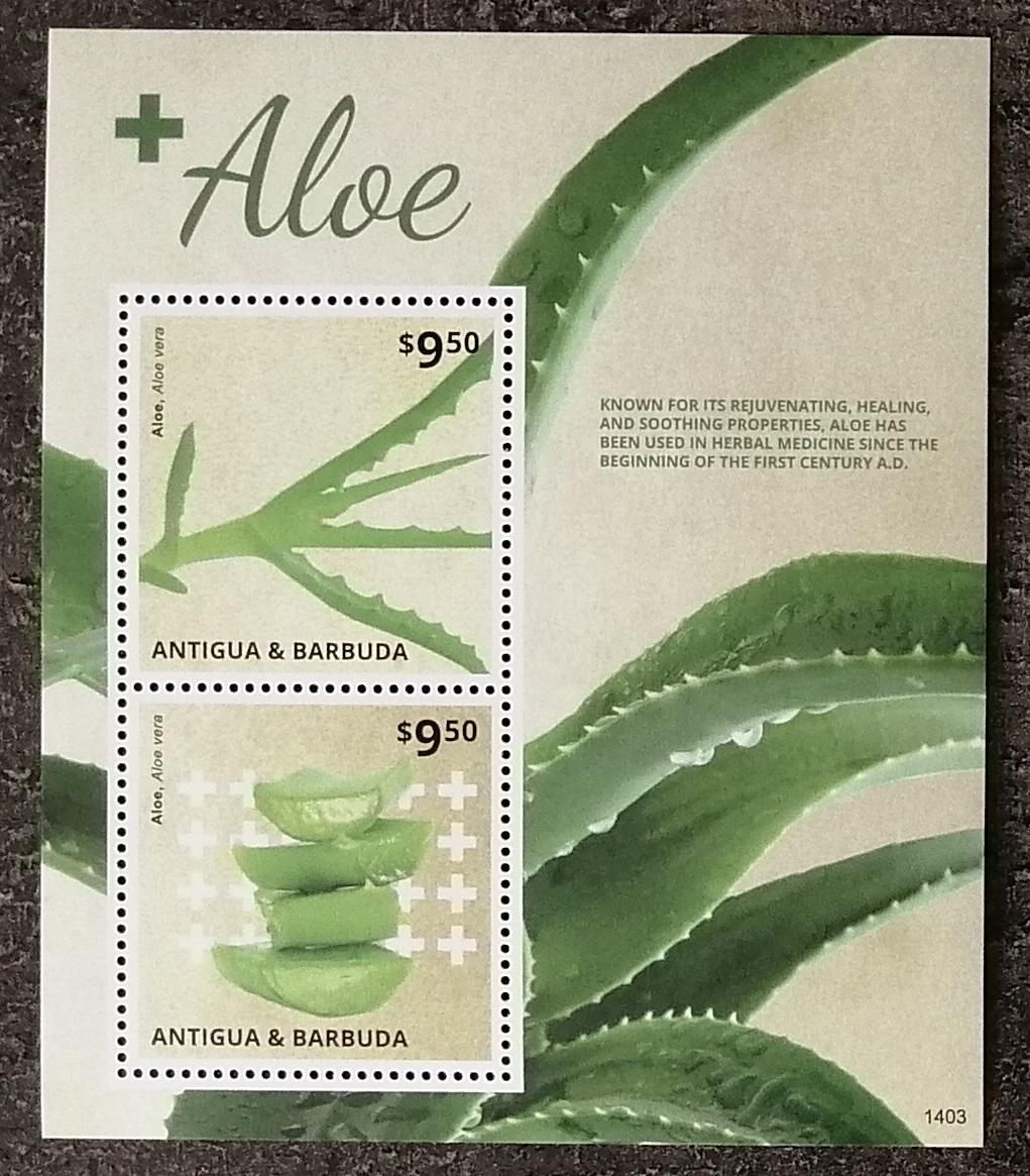 Antigua & Barbuda 2014 Bl.721 16€ Druhy a kultivace Aloe Vera, Kaktusy