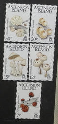 Ascension 1983 8,5€ Ostrovní houby, mykologie a flora