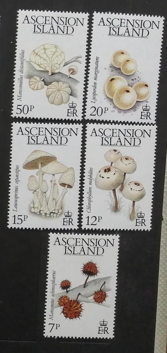 Ascension 1983 8,5€ Ostrovní houby, mykologie a flora