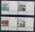 Bahamy 1993 Ostrovní květiny a flora