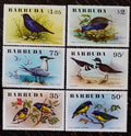 Barbuda 1976 14€ Tropičtí ptáci a fauna ostrova