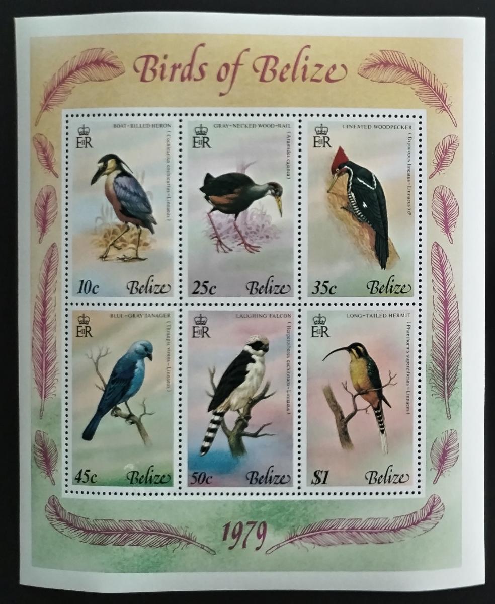 Belize 1979 Ptáci a fauna tropické Ameriky
