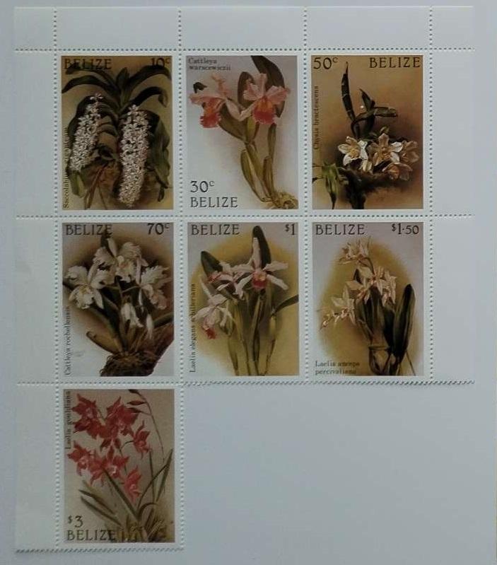 Belize 1987 14€ Orchideje Střední Ameriky, Flora (vyšší půl)