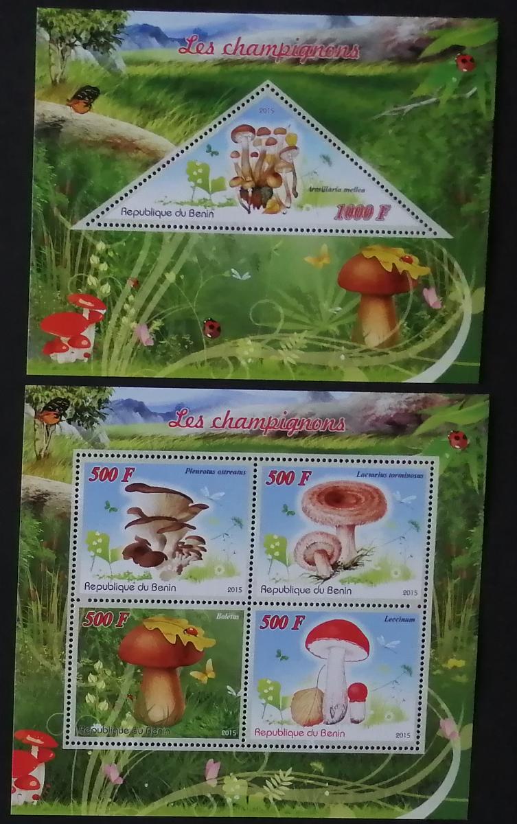 Benin 2015 -Houby a mykologie, Lesní flora