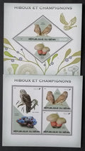 Benin 2015 - Sovy a houby, Lesní fauna a flora, ptáci