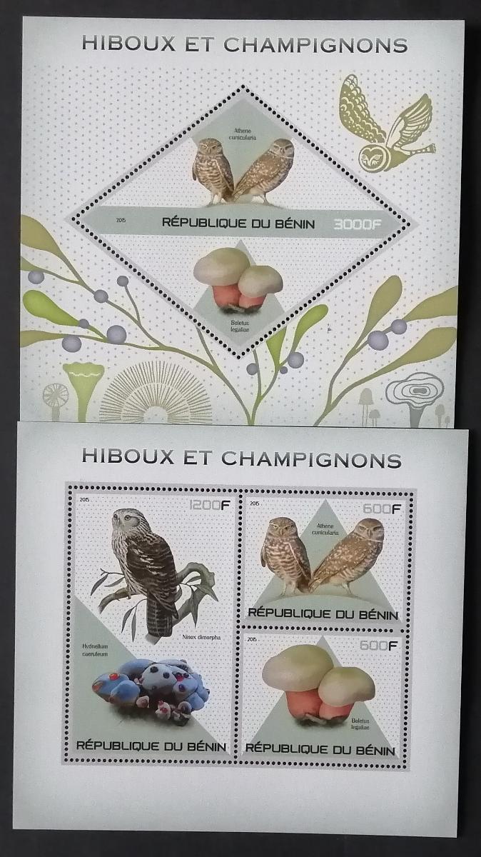 Benin 2015 - Sovy a houby, Lesní fauna a flora, ptáci