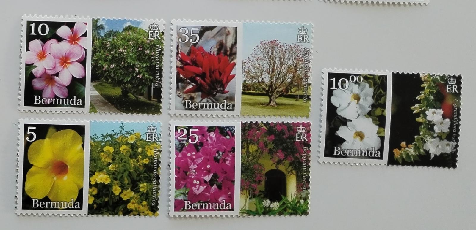 Bermudy 2014 Definitiva: Ostrovní květiny a stromy