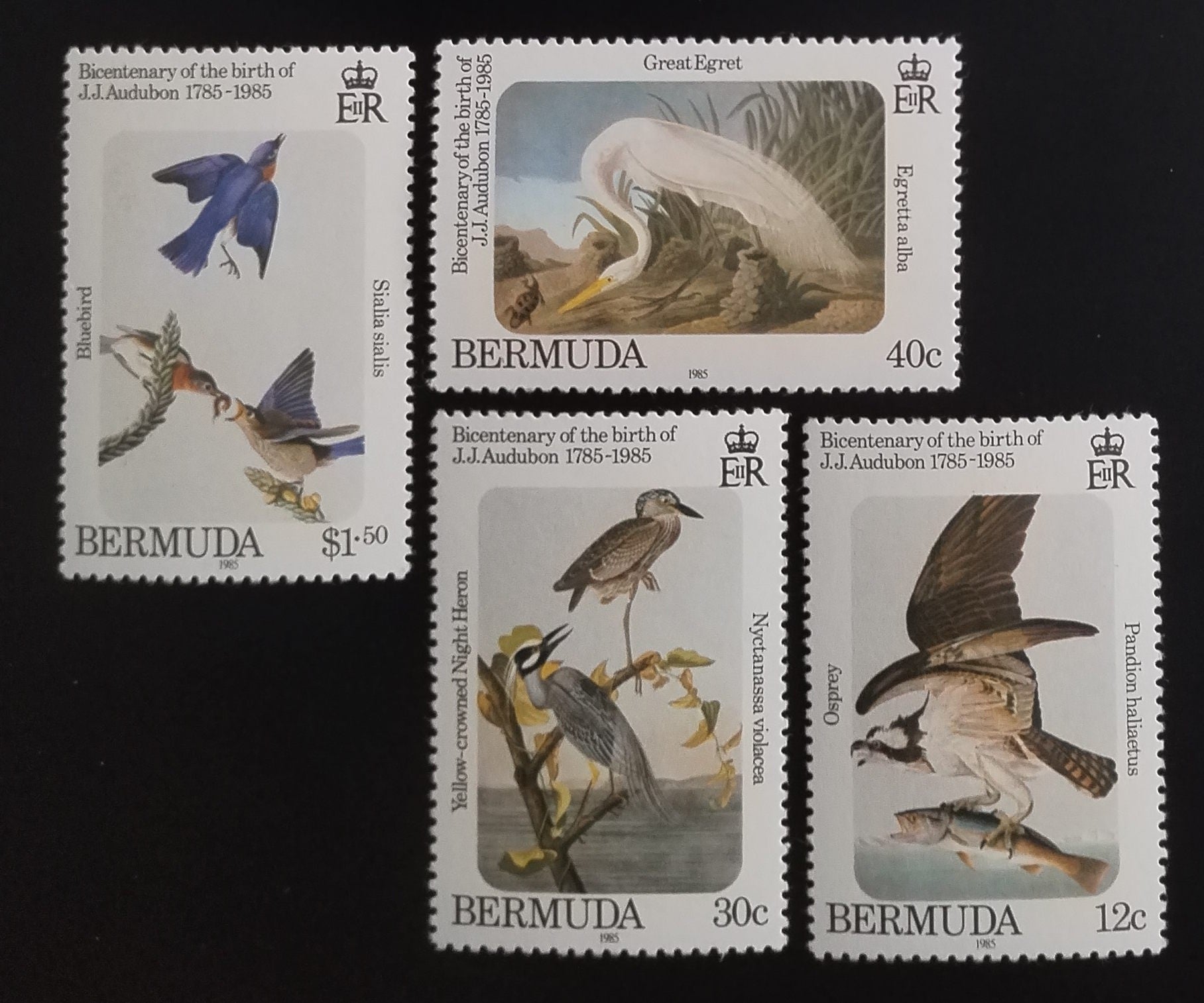 Bermudy 1985 Ornitolog Audubon a ptáci