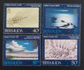 Bermudy 1985 Halleyova kometa, Vesmír