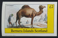 Bernera 1982 Fauna orientu - Velbloudi a dromedár