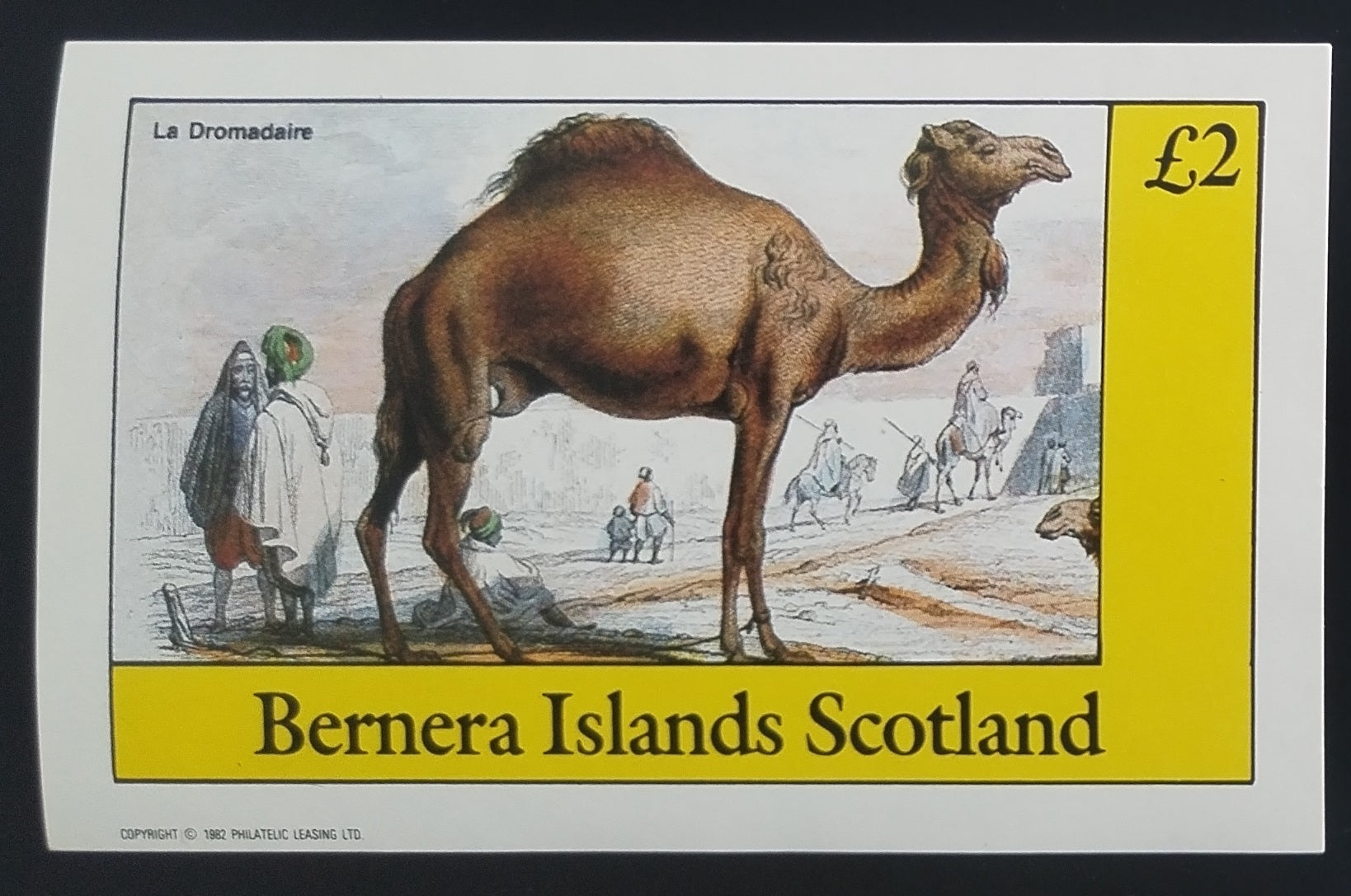 Bernera 1982 Fauna orientu - Velbloudi a dromedár