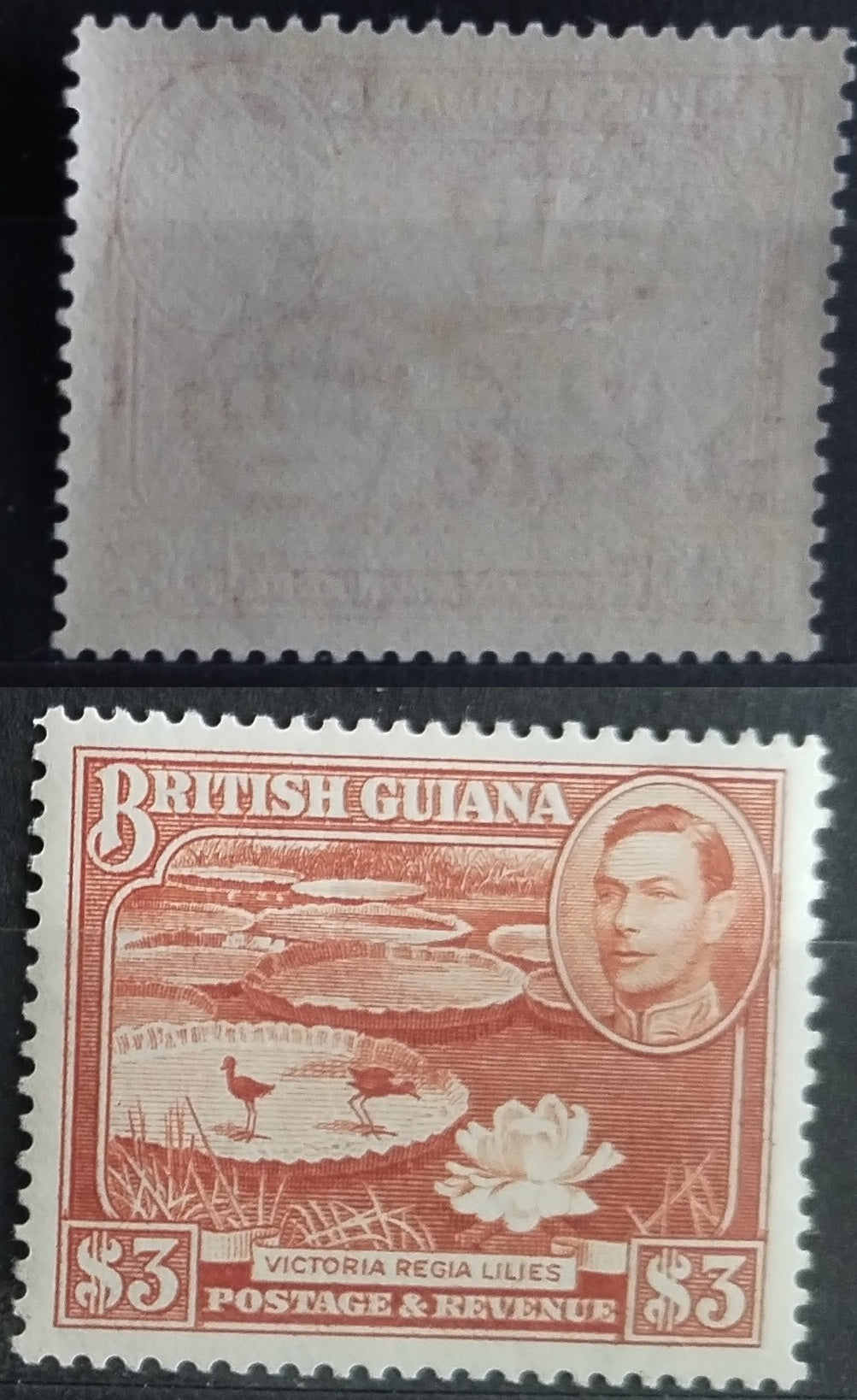 Britská Guyana 1938-51 P14x13 3$ Lekníny a flora