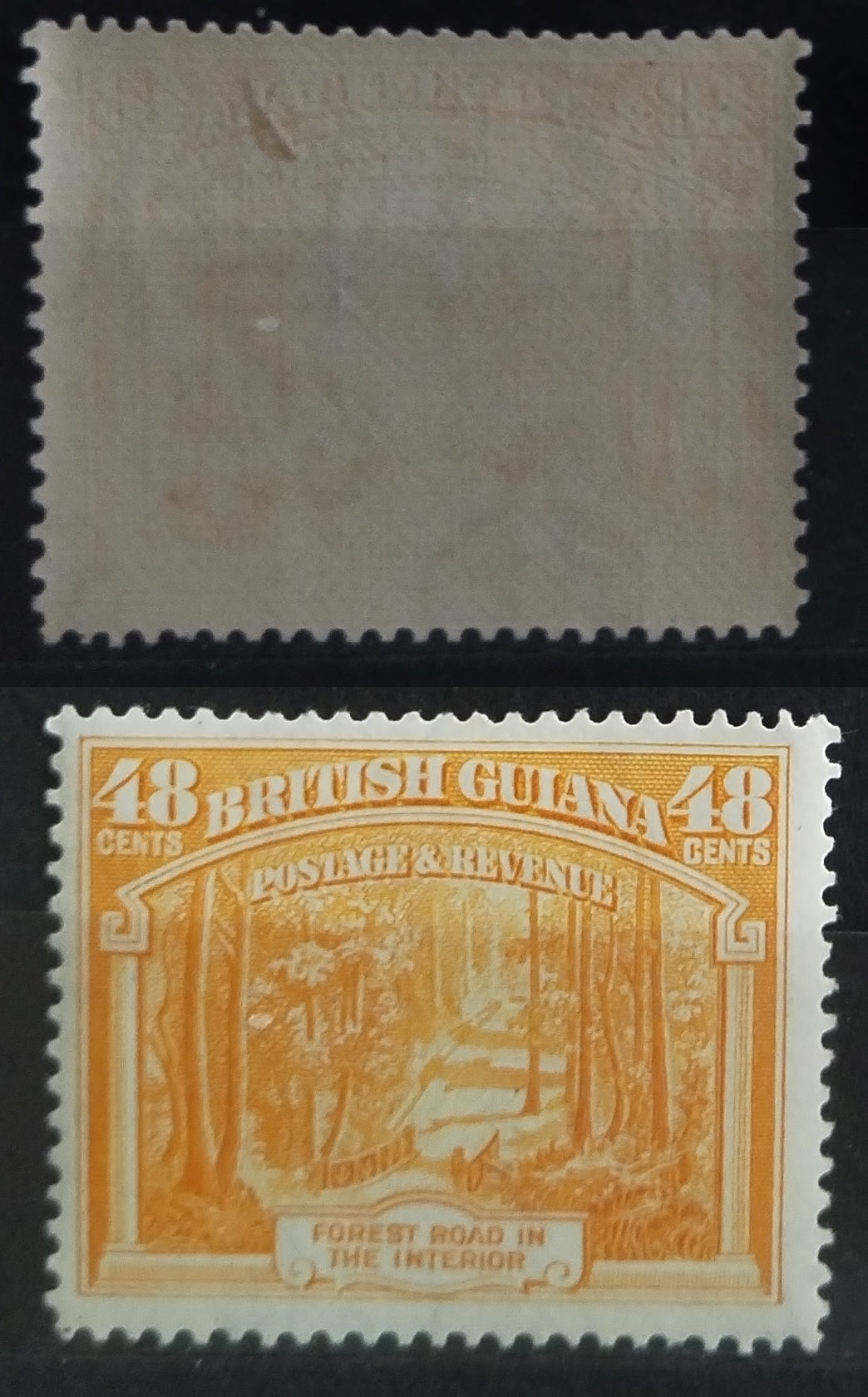 Britská Guyana 1938-51 P14x13 48c