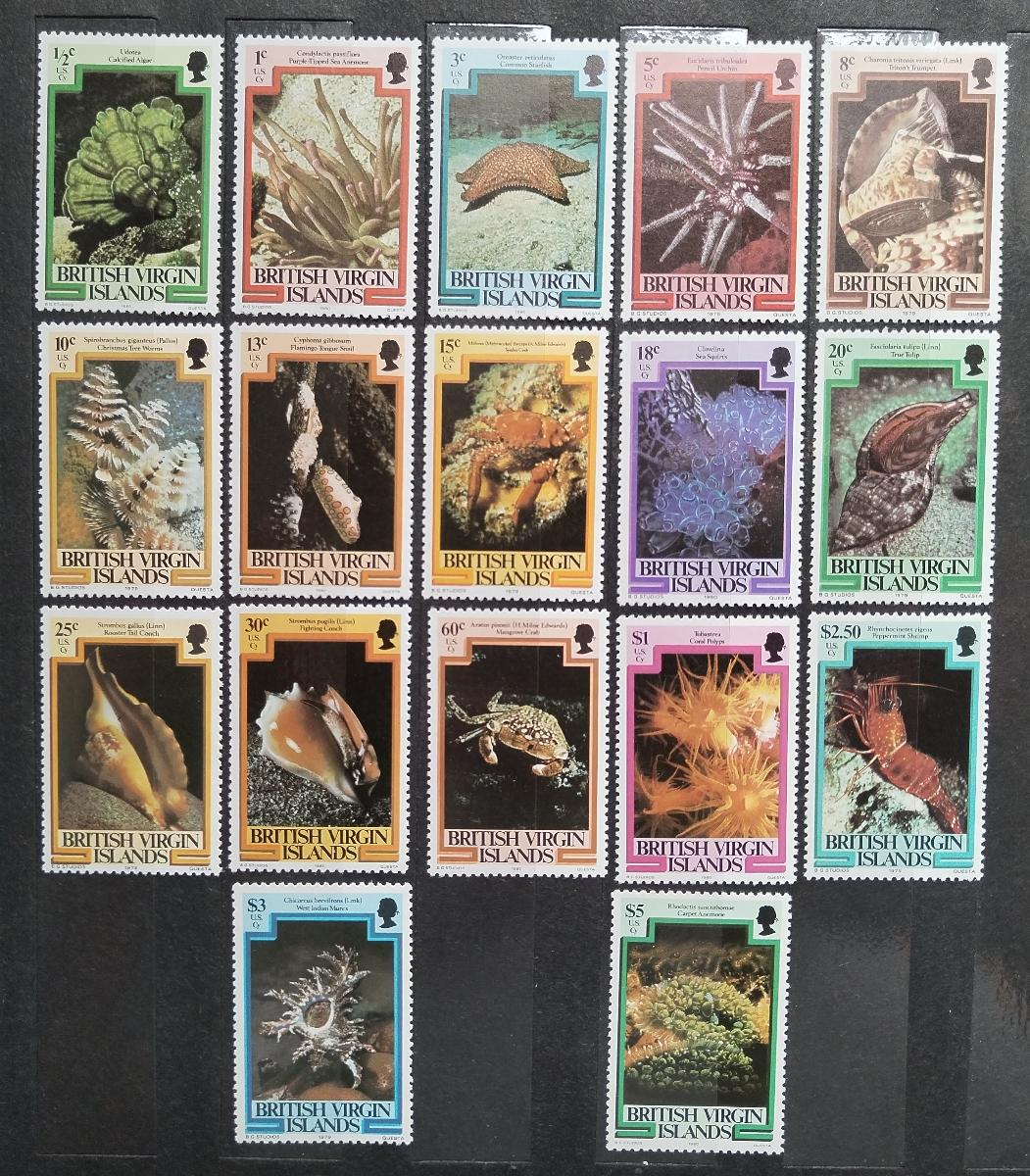 Brit. Panenské ostrovy 1980 Definitiva: Podmořská fauna, Korály, Mušle