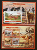 Burkina Faso 2019 Antilopy, savci a fauna Afriky