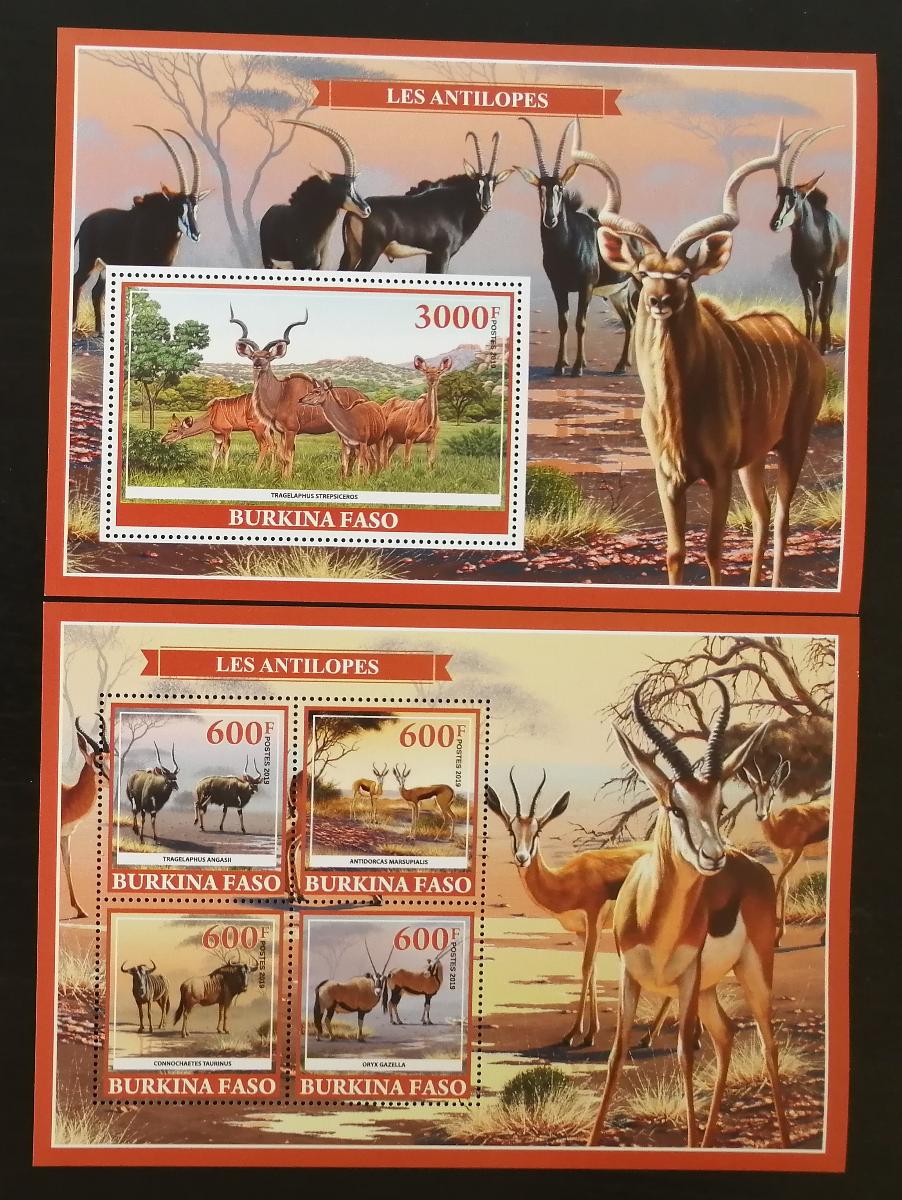 Burkina Faso 2019 Antilopy, savci a fauna Afriky