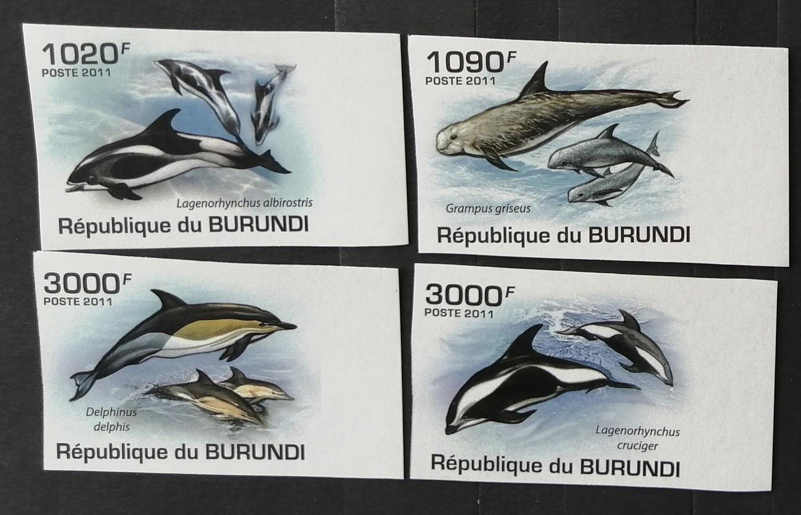 Burundi 2011 Mi.2054-7 9,5€ Delfíni, mořská fauna a ryby, imperf.