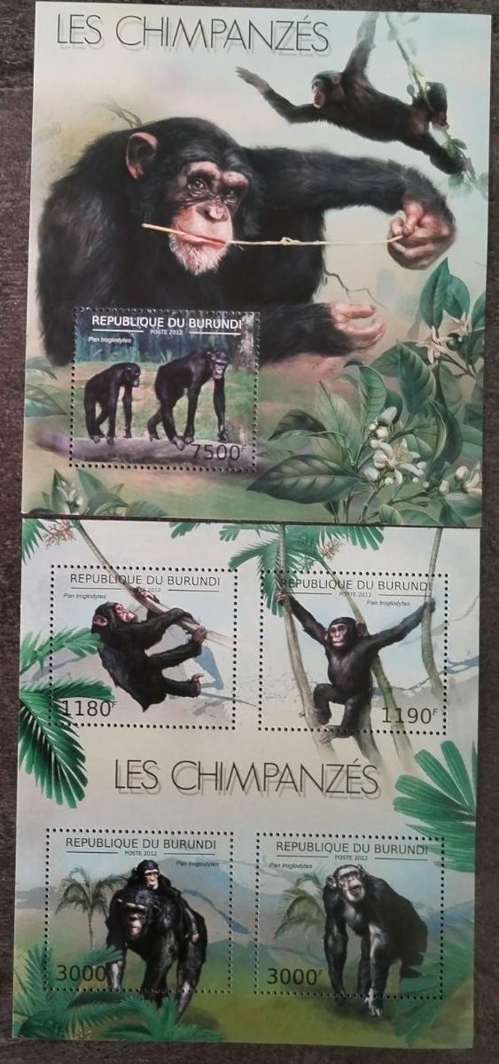 Burundi 2012 19€ Šimpanzi, opice a primáti Afriky