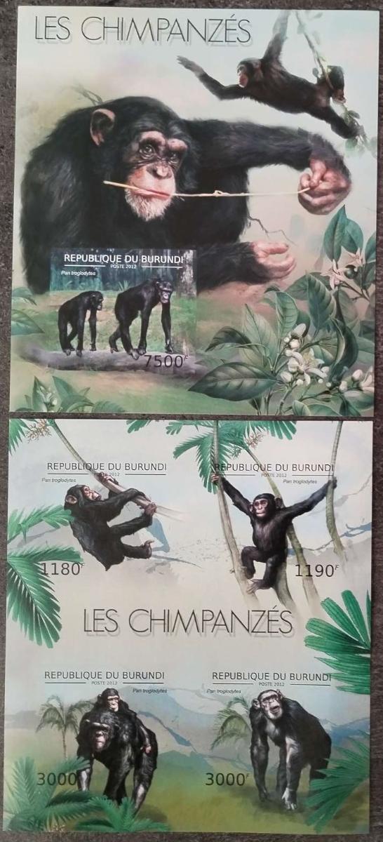 Burundi 2012 19€ Šimpanzi, opice a primáti Afriky, imperf.