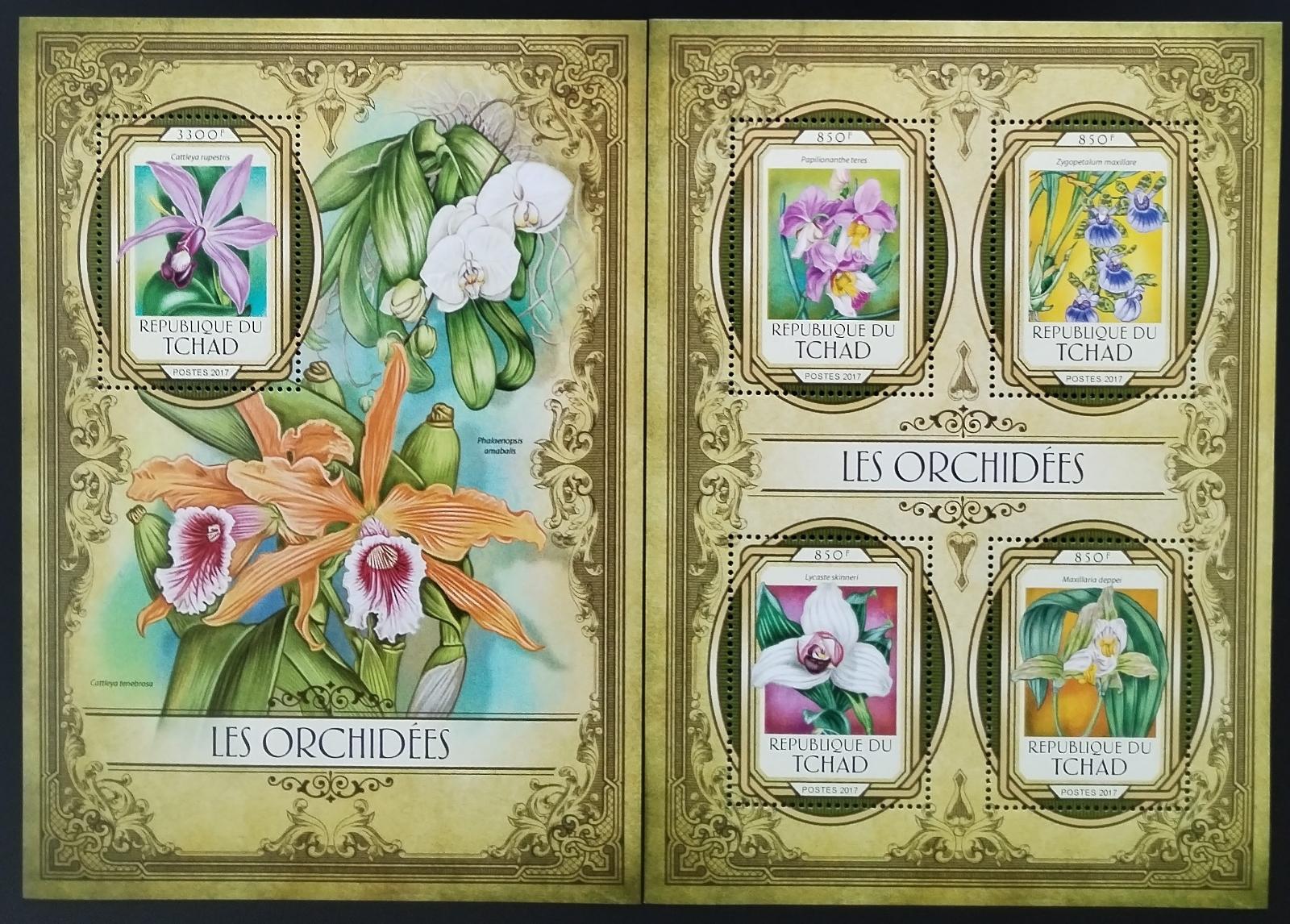 Čad 2017 Orchideje a květiny Afriky