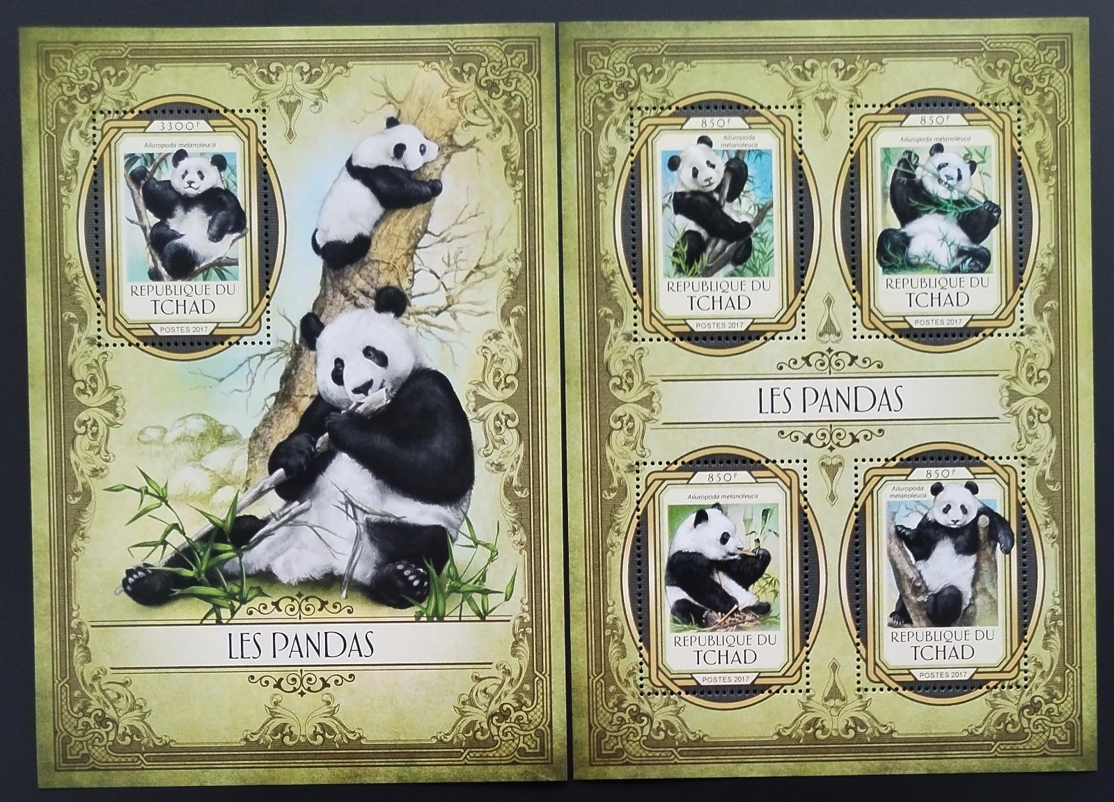 Čad 2017 Pandy a medvědi, Panda velká