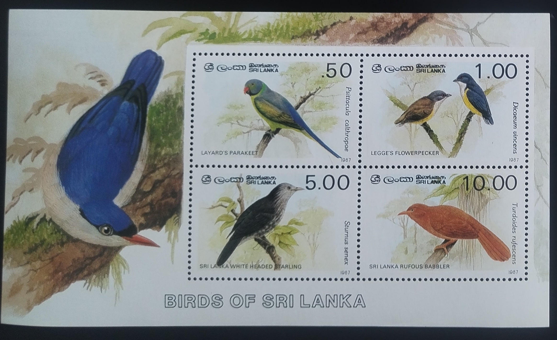 Srí Lanka 1987 Ptáci Indického subkontinentu