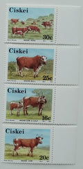 Ciskei (JAR) 1987 Mi.115-8 Krávy a africký skot, Fauna