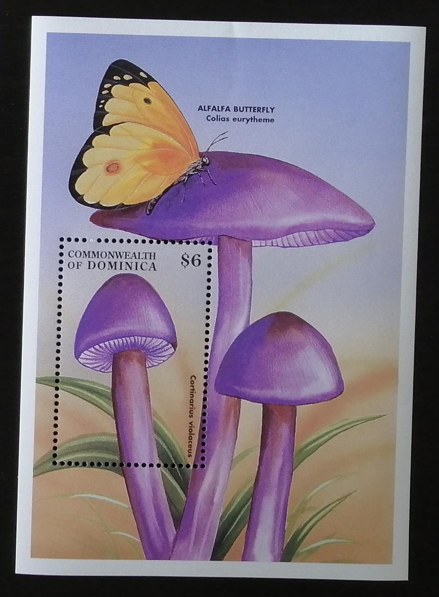 Dominika 1998 Bl.352 5,5€ Houby a flora světa, Cortinarius violaceus