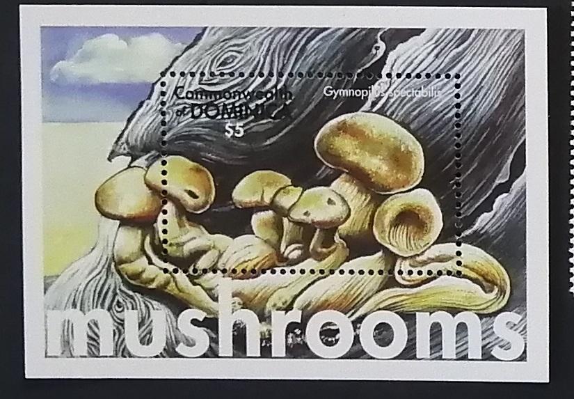 Dominika 2001 Bl.433 5€ Houby a mykologie, Gymnopilus spectabilis