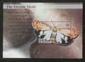 Dominika 2002 Bl.462 6€ Motýli a můry ostrova, hmyz, Uthethesia ornat.