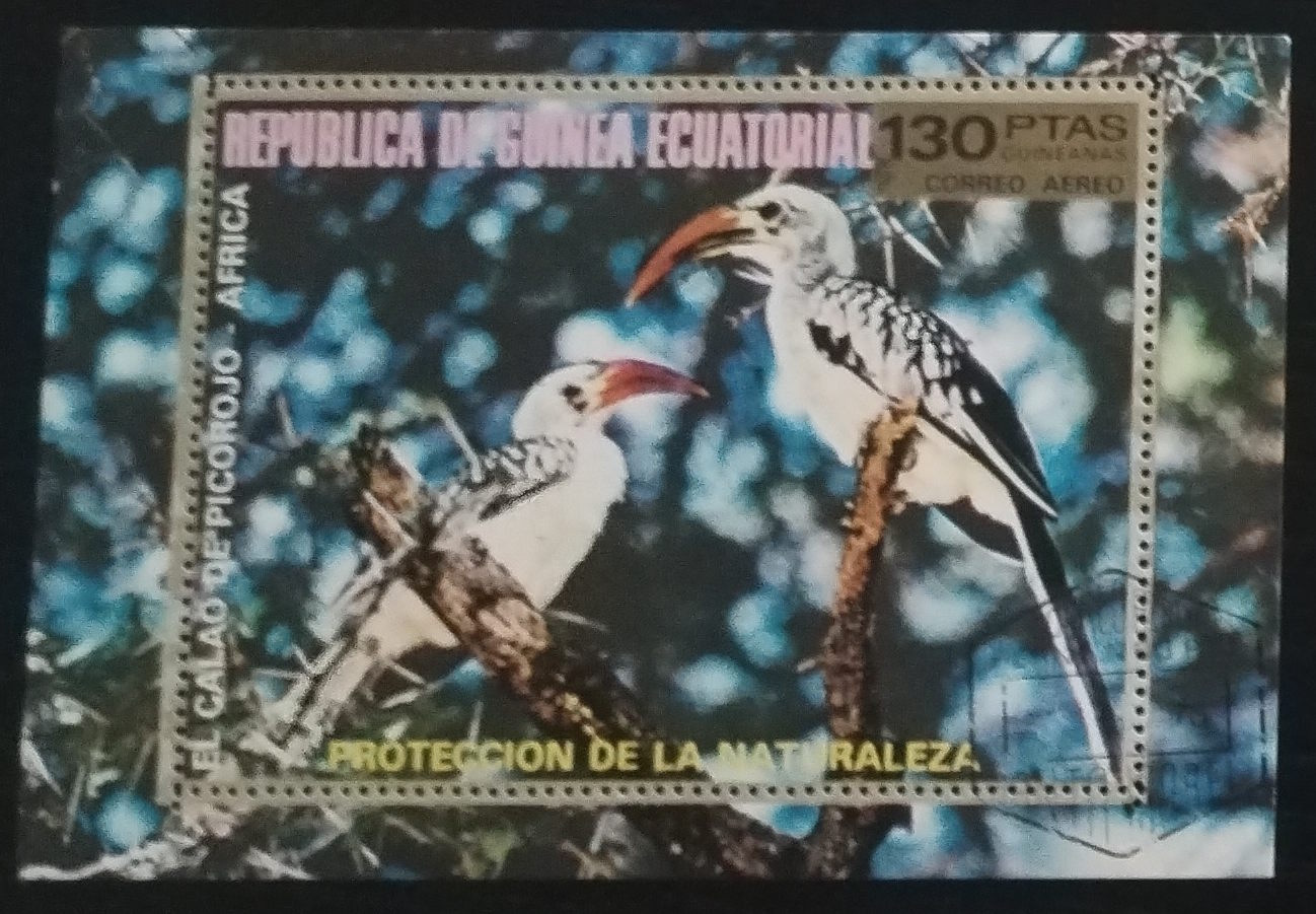 Rovníková Guinea 1975 Ptáci