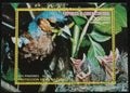 Rovníková Guinea 1975 Ptáci