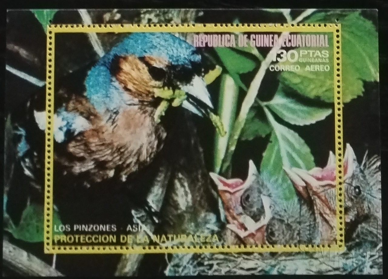 Rovníková Guinea 1975 Ptáci