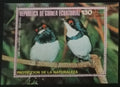 Rovníková Guinea 1975 Ptáci