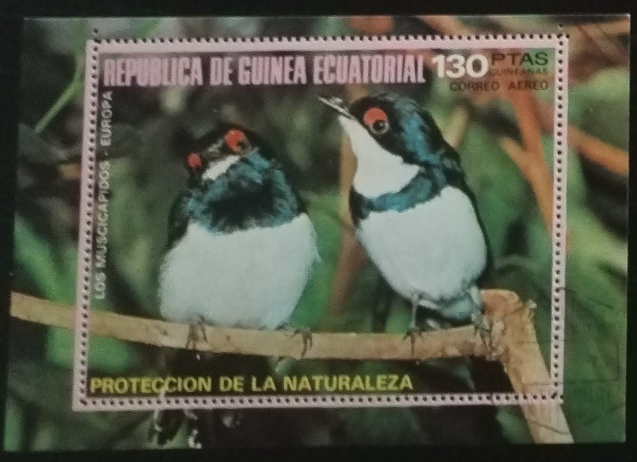 Rovníková Guinea 1975 Ptáci