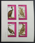 Eynhallow 1982 Ptáci a fauna Skotska