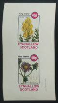 Eynhallow 1982 Luční květiny a flora