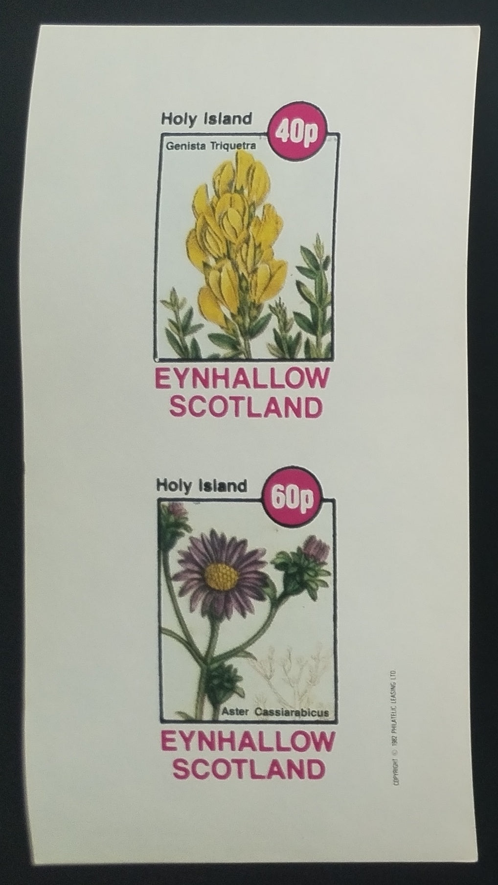 Eynhallow 1982 Luční květiny a flora