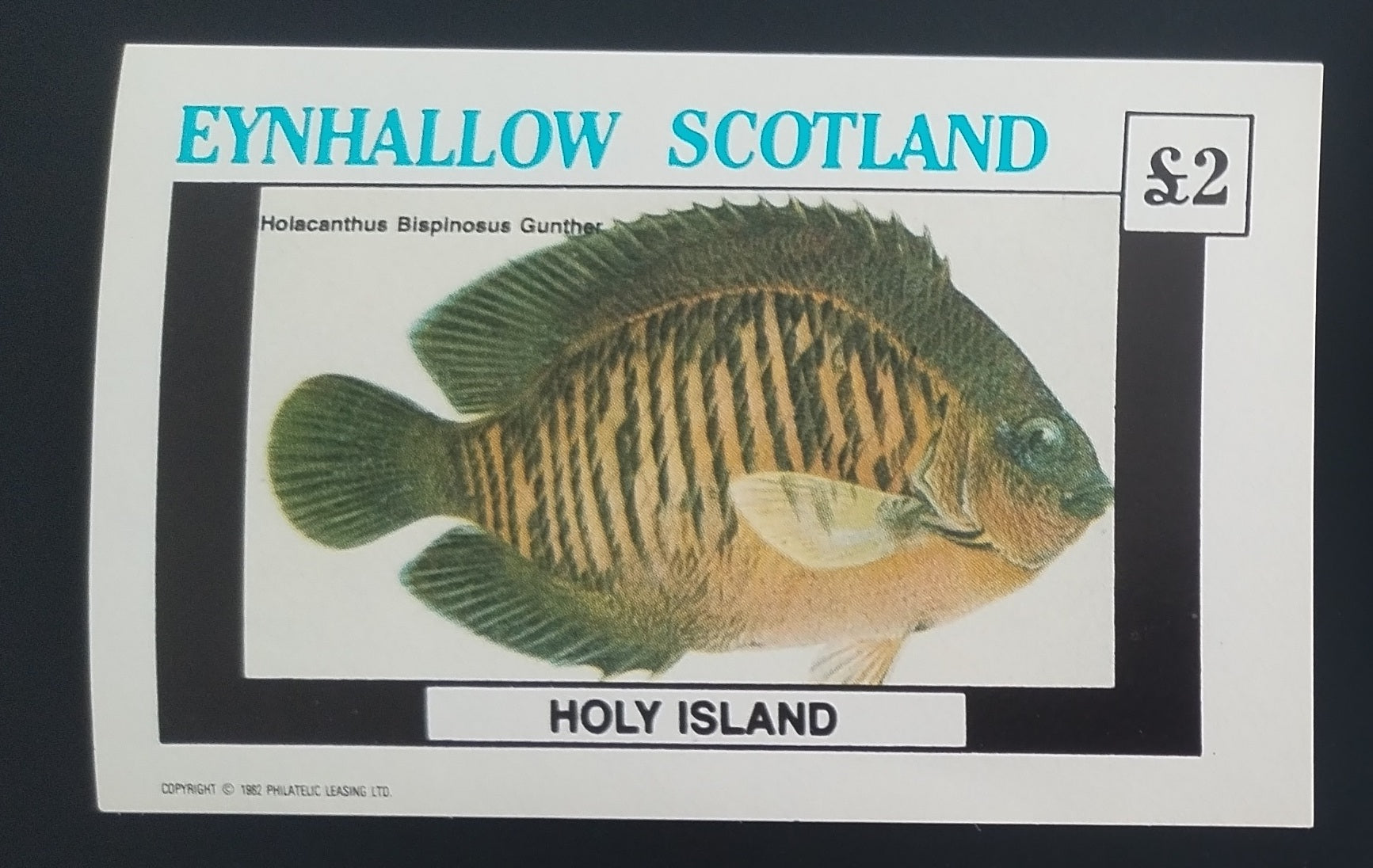 Eynhallow 1982 Ryby a fauna moře